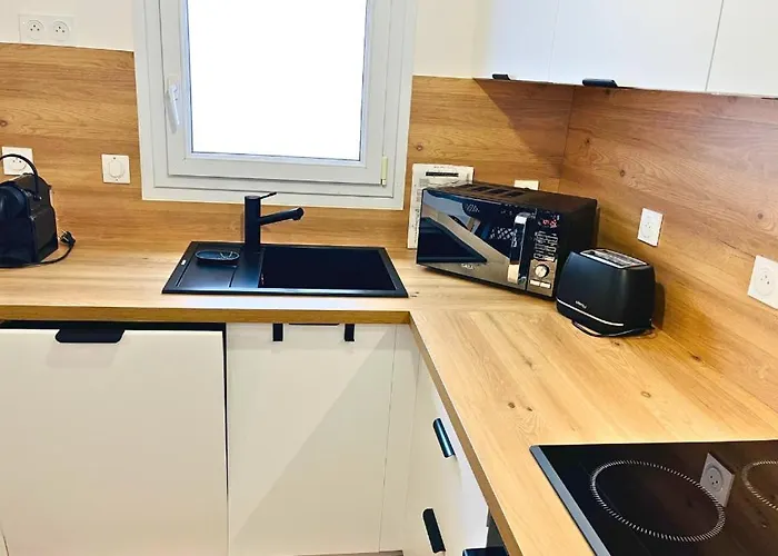 Le Cocon Sablais - 2 Bedrooms - Garage - Plancha * 莱萨布勒-多洛讷